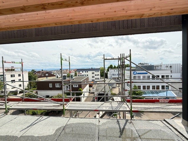 Blick