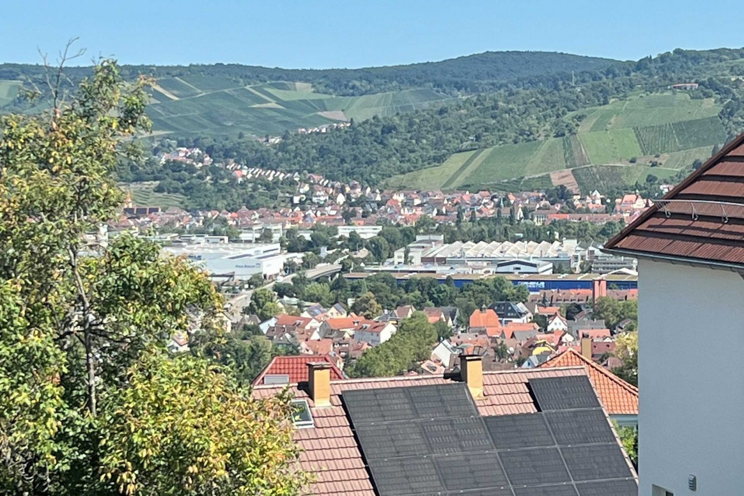Ausblick