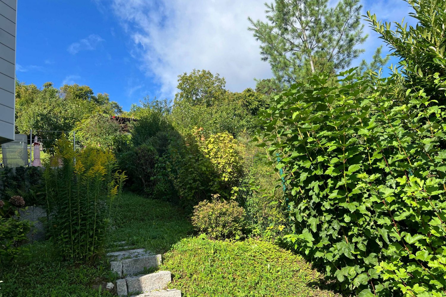 Garten Kopie